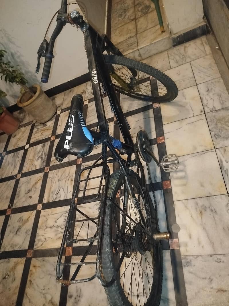 bicycle 2