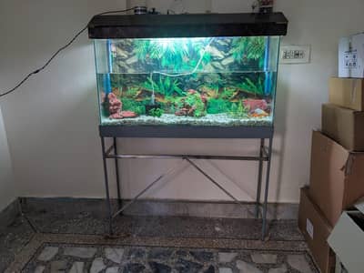 Aquarium Size 1*2*4 foot