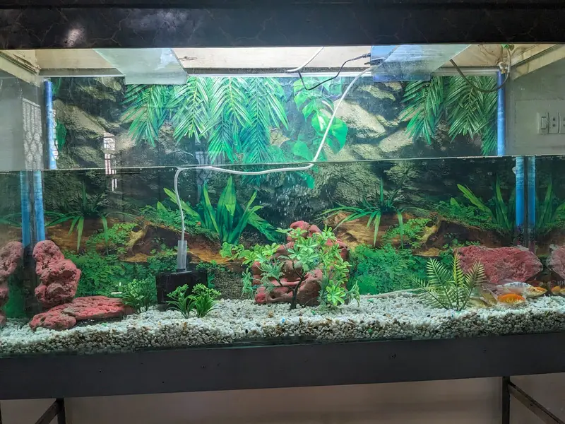 Aquarium Size 1*2*4 foot — photo 3