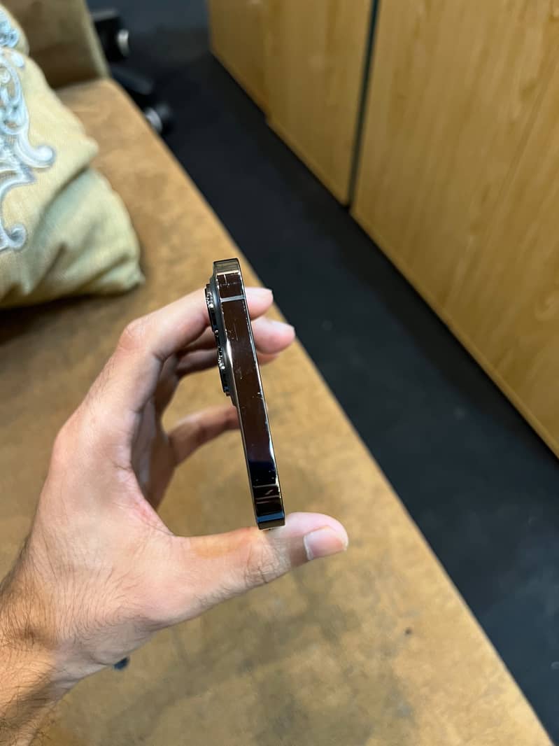 Apple iPhone 13 Pro Max 1