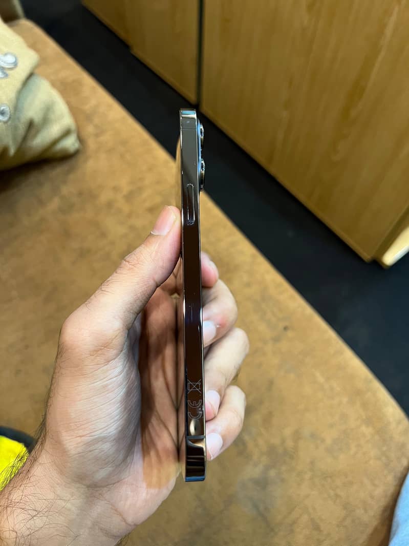 Apple iPhone 13 Pro Max 4