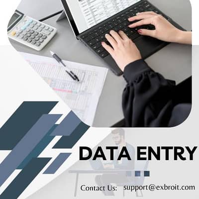 Data Entry/ Accountant