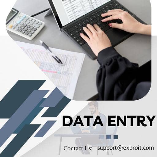 Data Entry/ Accountant 0