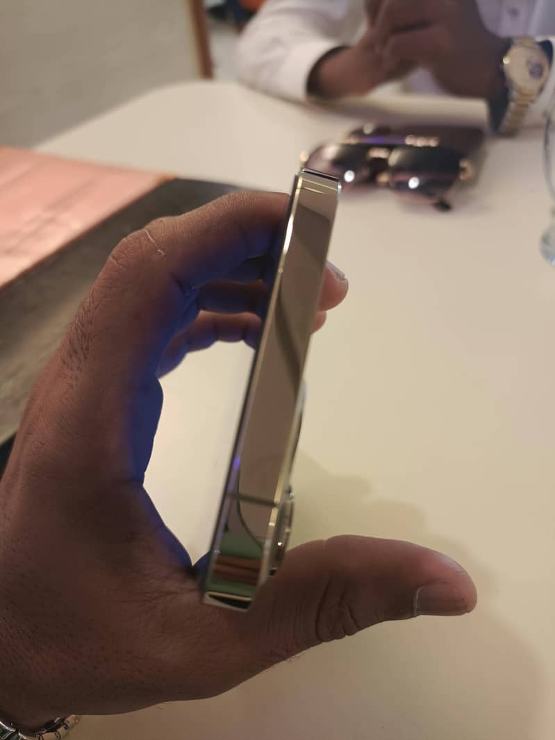 Apple iPhone 13 Pro Max 3