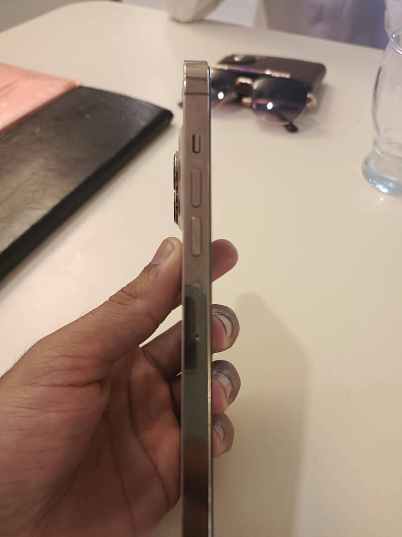 Apple iPhone 13 Pro Max 7