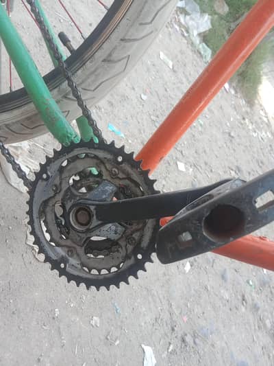 l bicycle all ok
