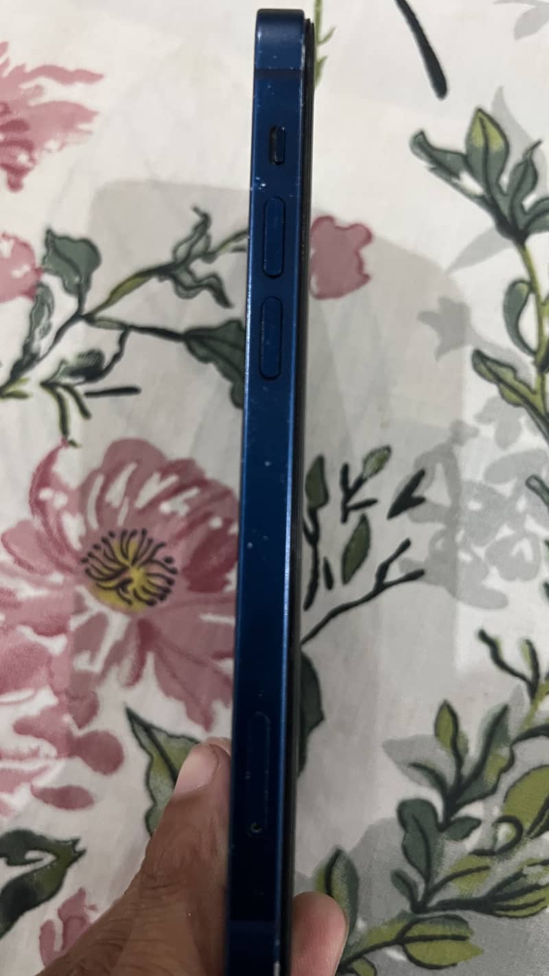 Apple iPhone 12 1