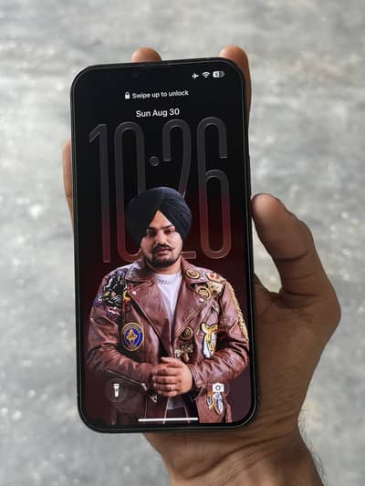 Apple iPhone 13 Pro Max
