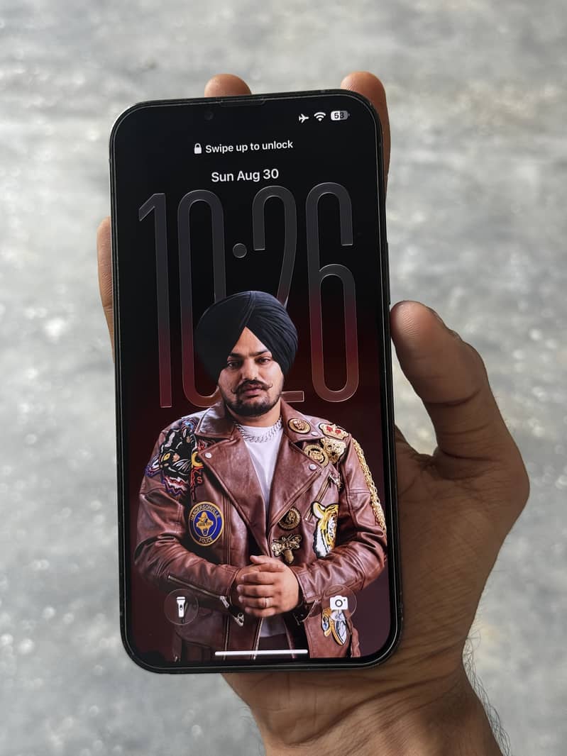 Apple iPhone 13 Pro Max 0