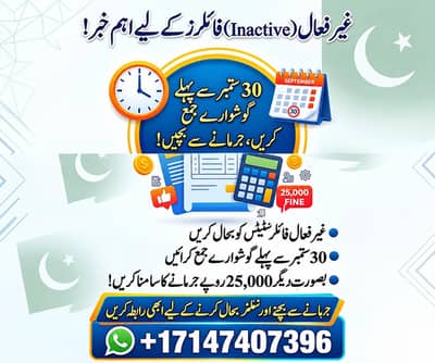 New Tax Filling individual and Business. FBR
