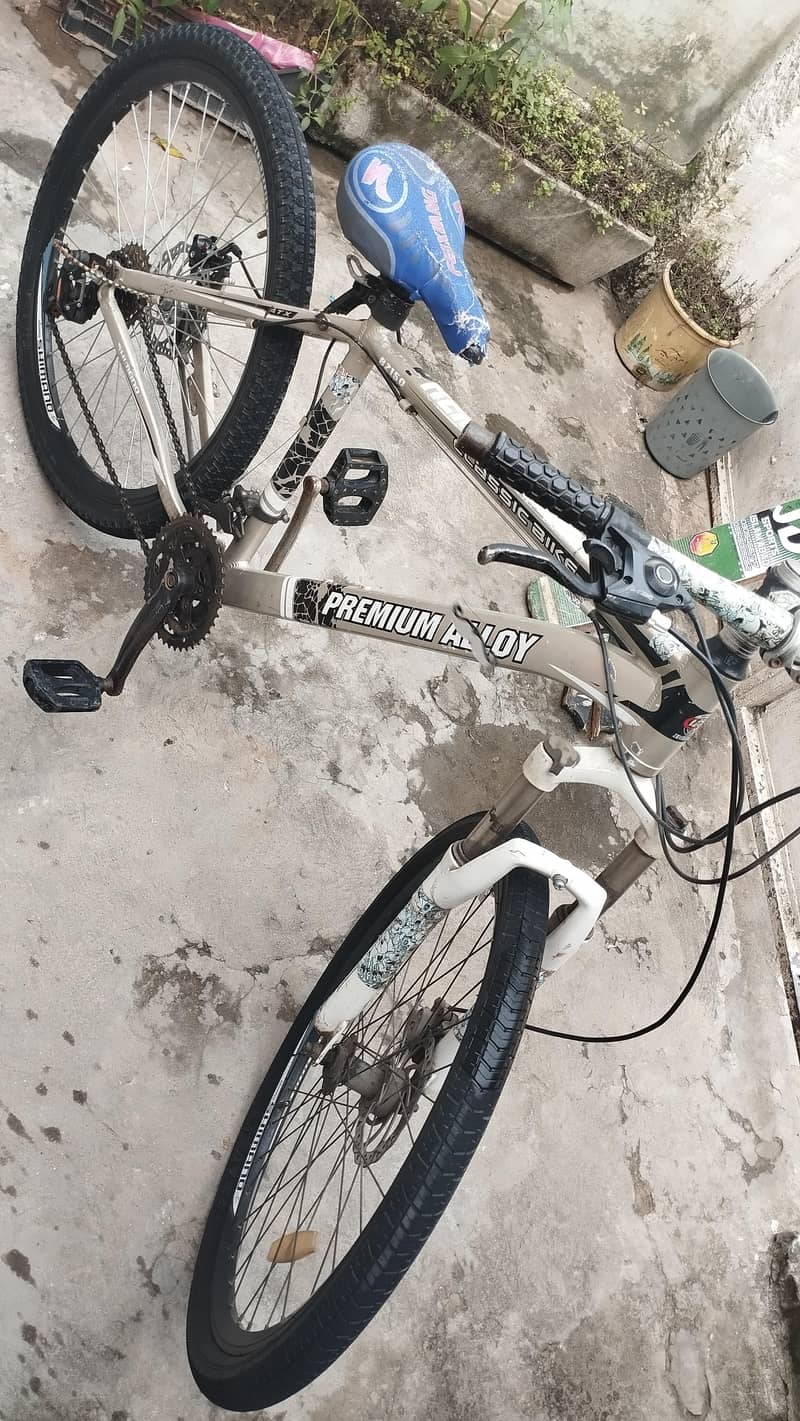 Bicycle imported 1