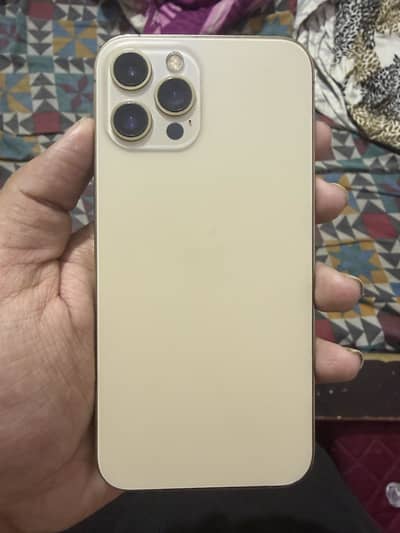 12 pro max official pta