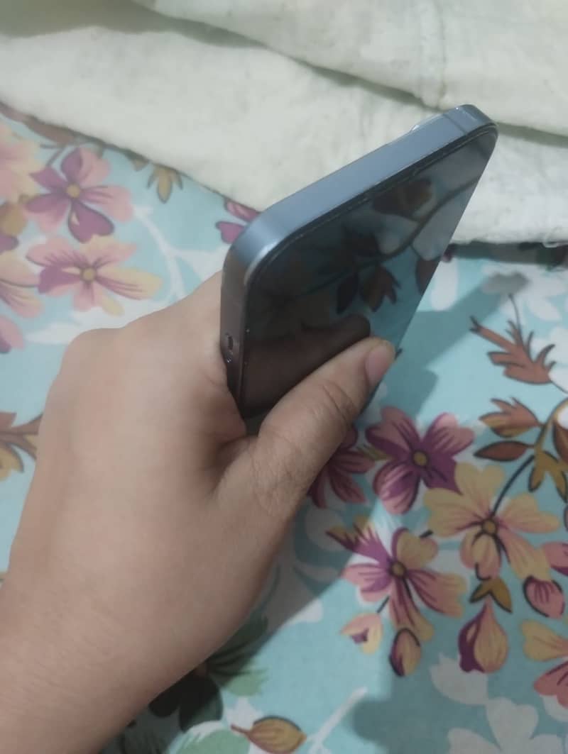 Apple iPhone 13 Pro Max 1