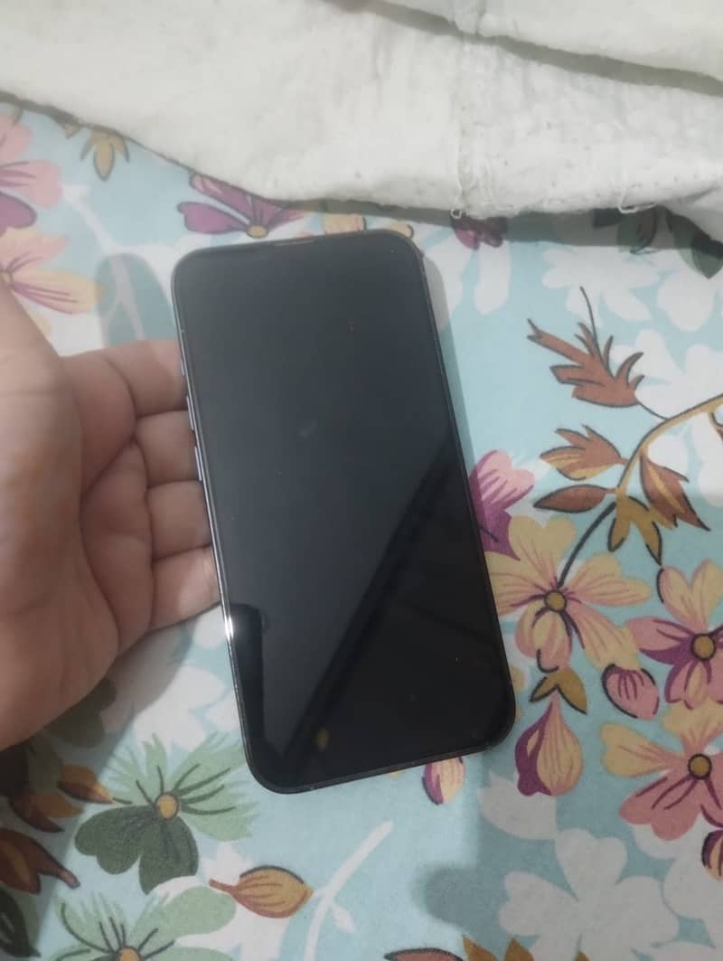 Apple iPhone 13 Pro Max 3