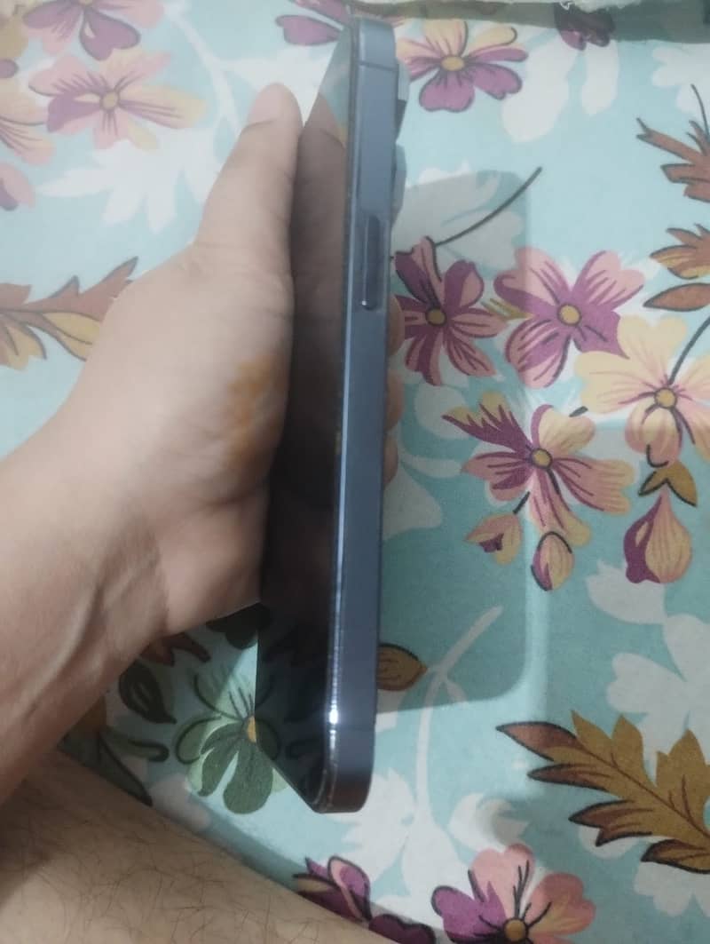 Apple iPhone 13 Pro Max 5