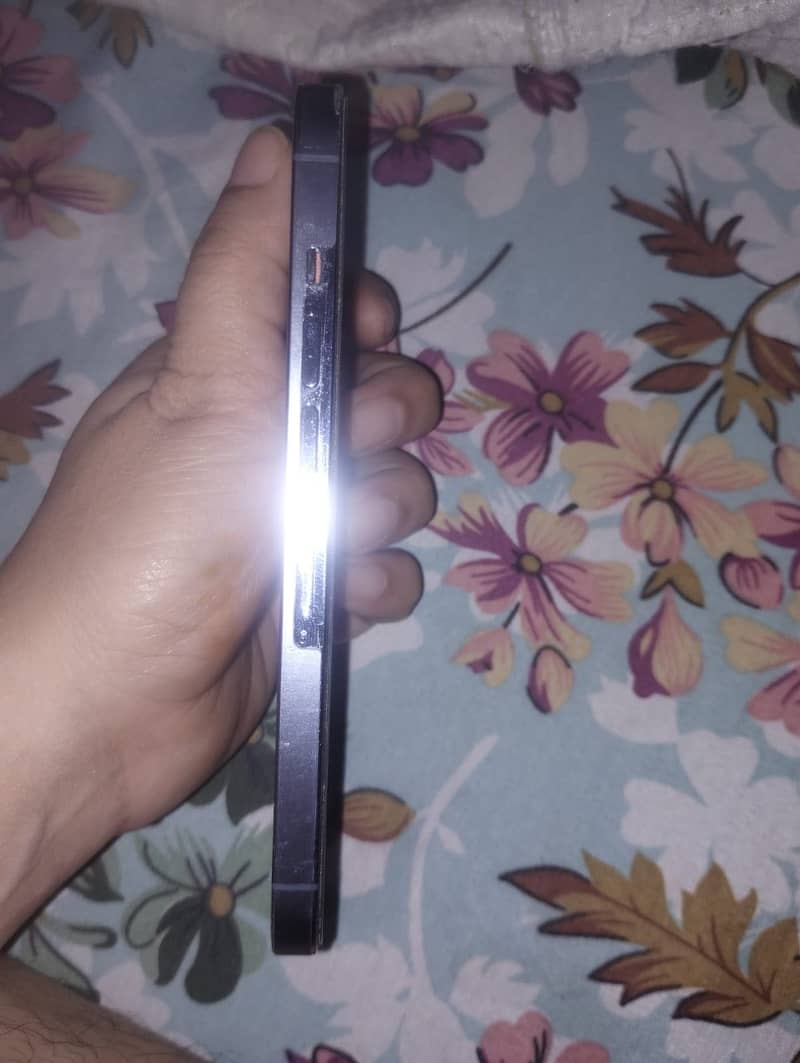 Apple iPhone 13 Pro Max 7