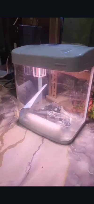mini aquarium tank