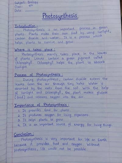 AIOU spring assignments