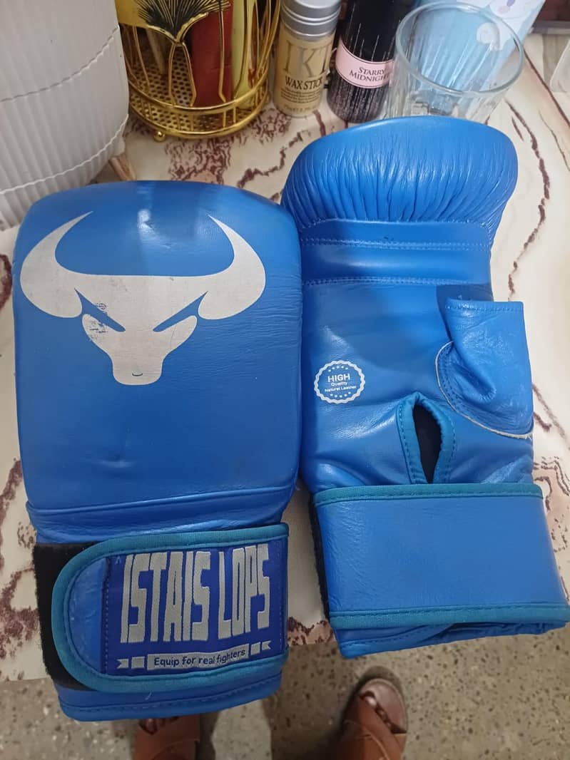boxing gloves 0