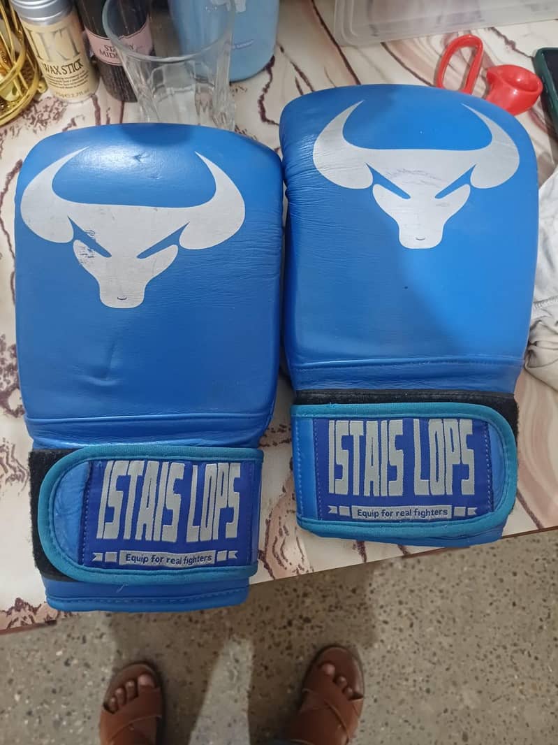 boxing gloves 1