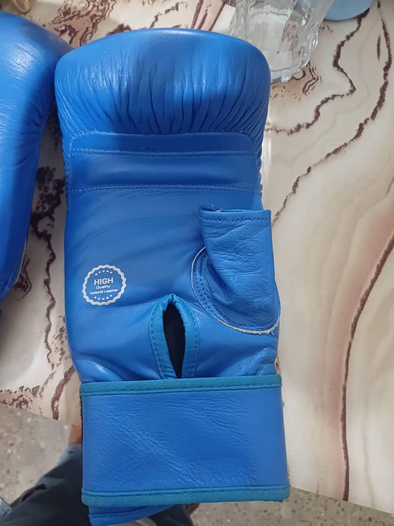boxing gloves 2