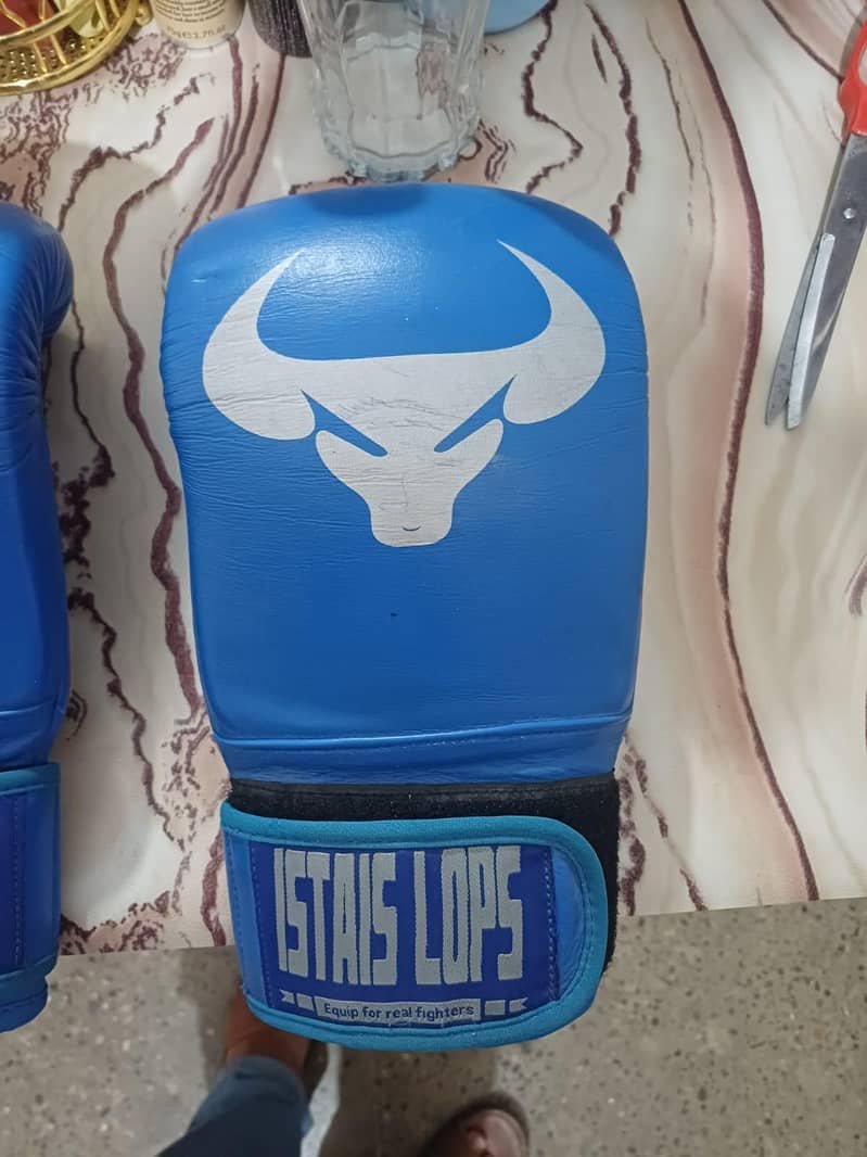 boxing gloves 4