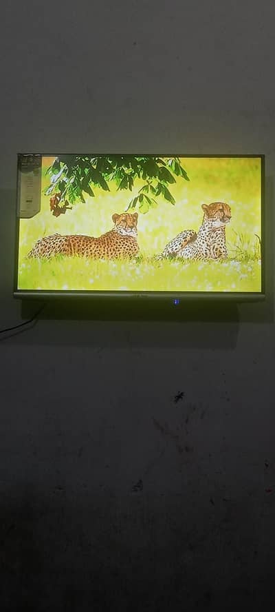 led 32inch border less