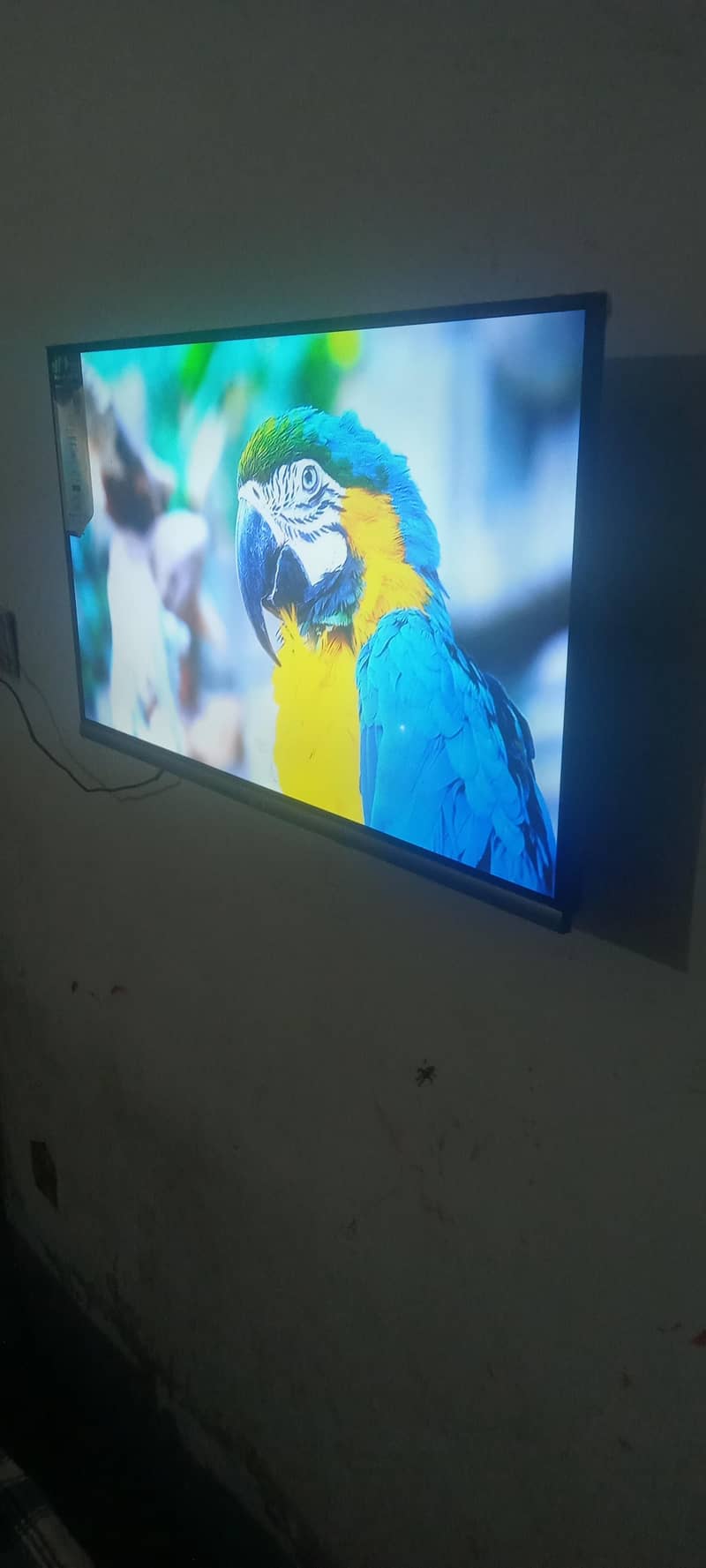 led 32inch border less 1
