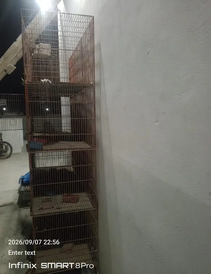 Birds 8 portion Cage for SALE — photo 3