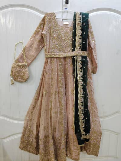 Full Heavy Party Wear Frock