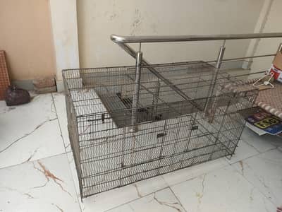 birds flying cage