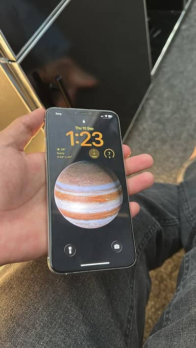 Apple iPhone 11 Pro Max