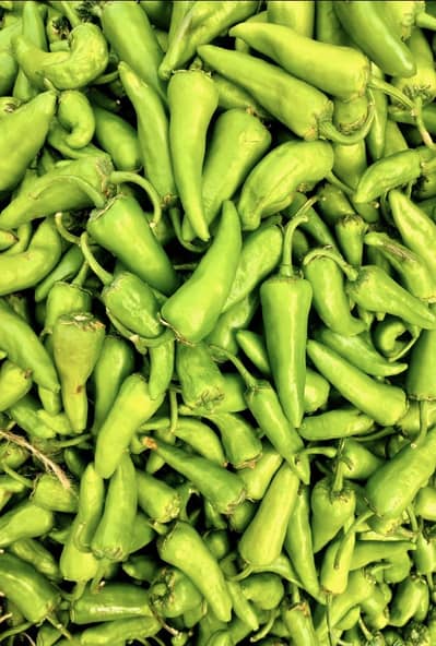 Fresh vegetables wholesale supplier