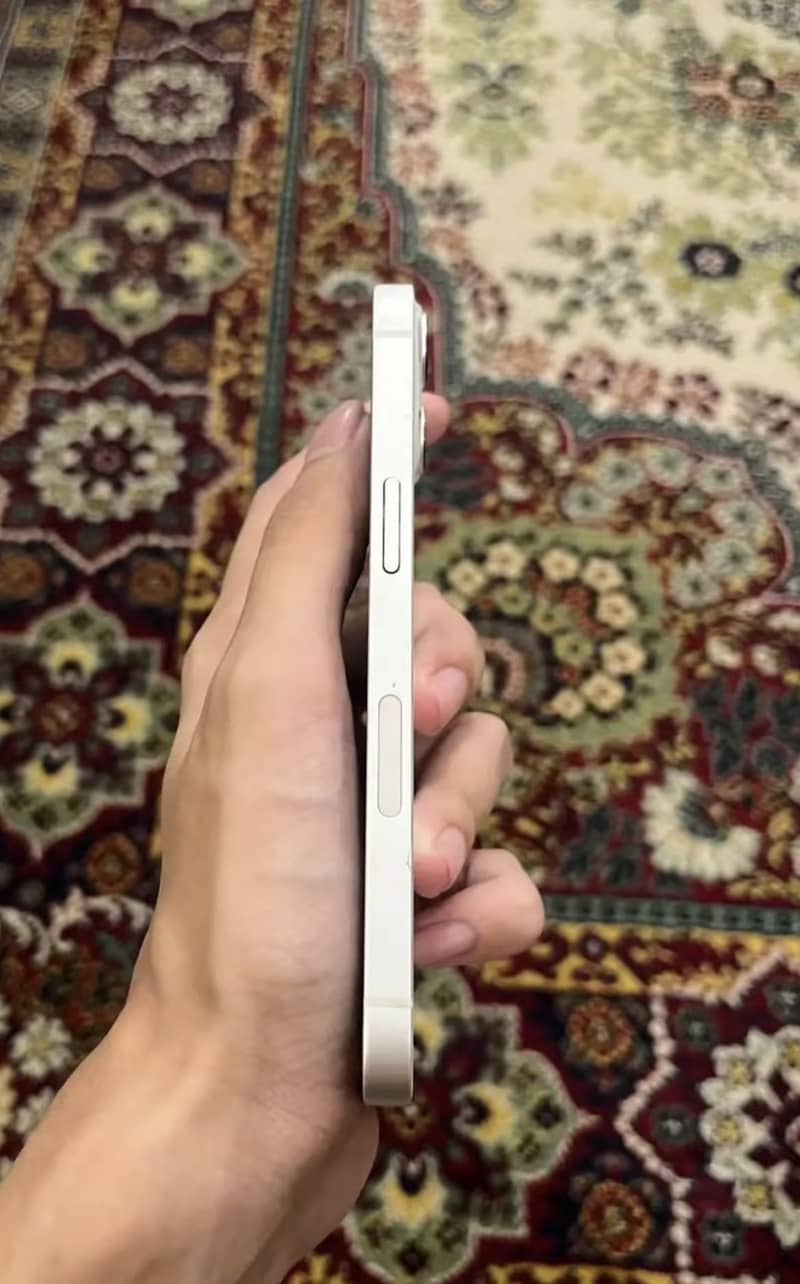 iPhone 13 bypass 2
