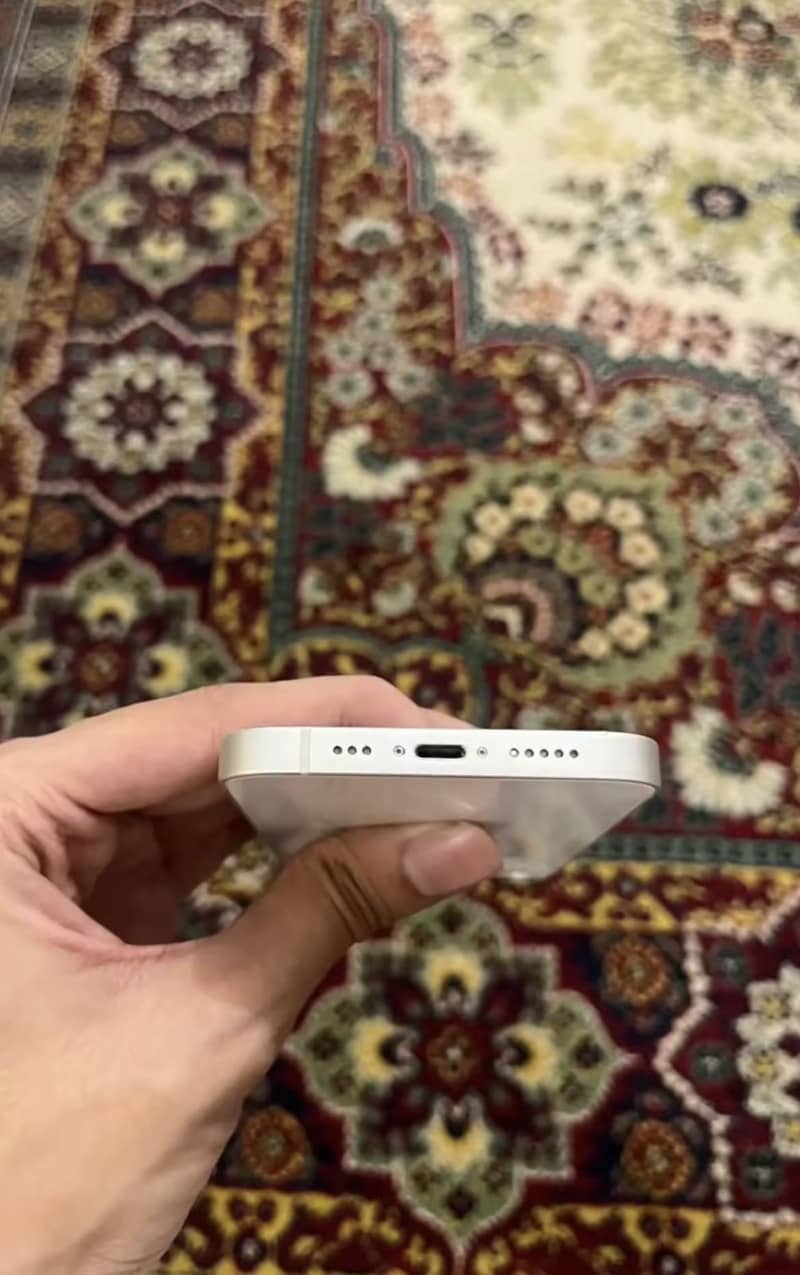 iPhone 13 bypass 3