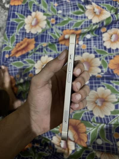 Iphone 13 PTA