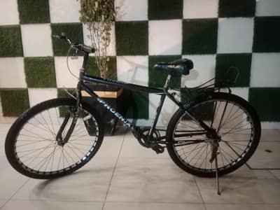 Cycle