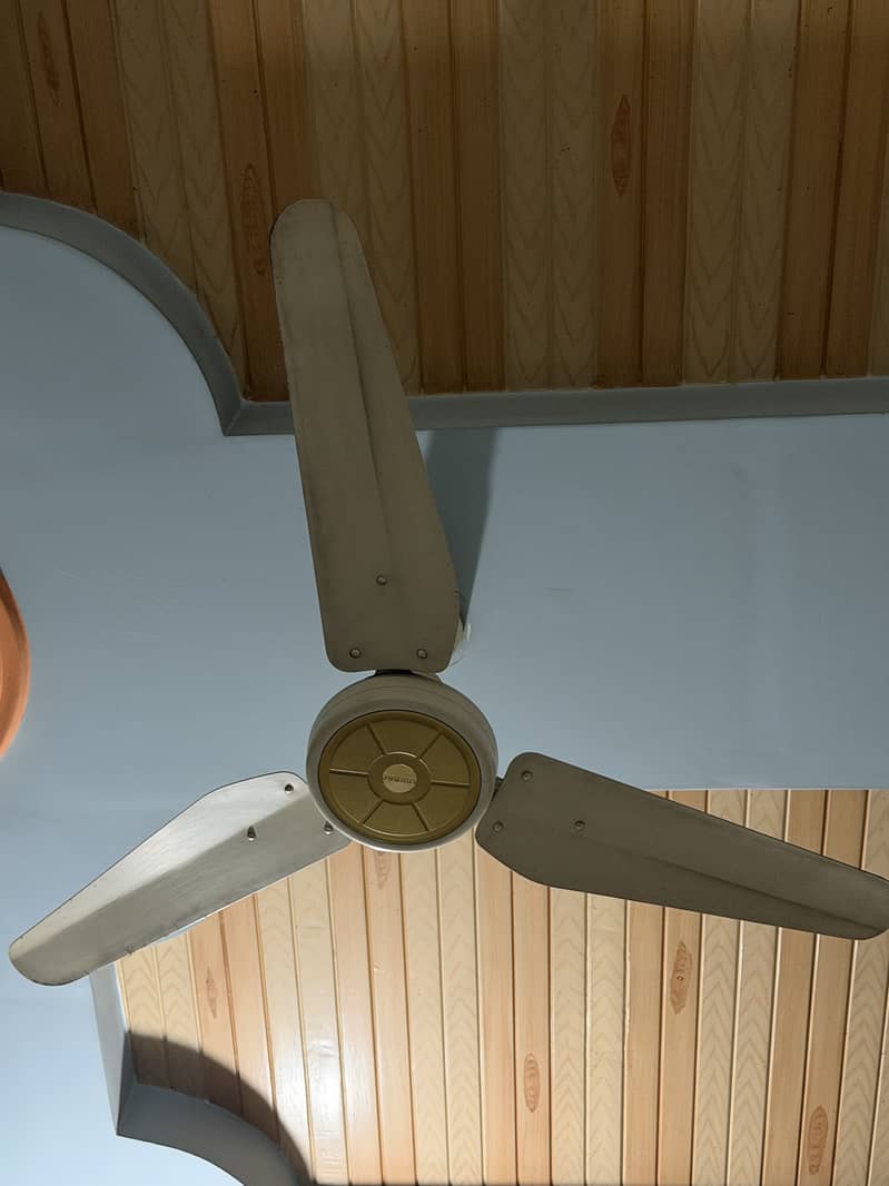 Ceiling fan (Quantity 6] 1
