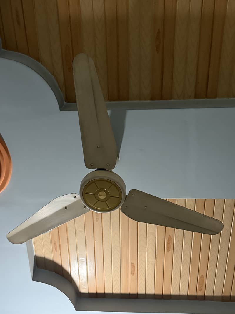 Ceiling fan (Quantity 6] 3