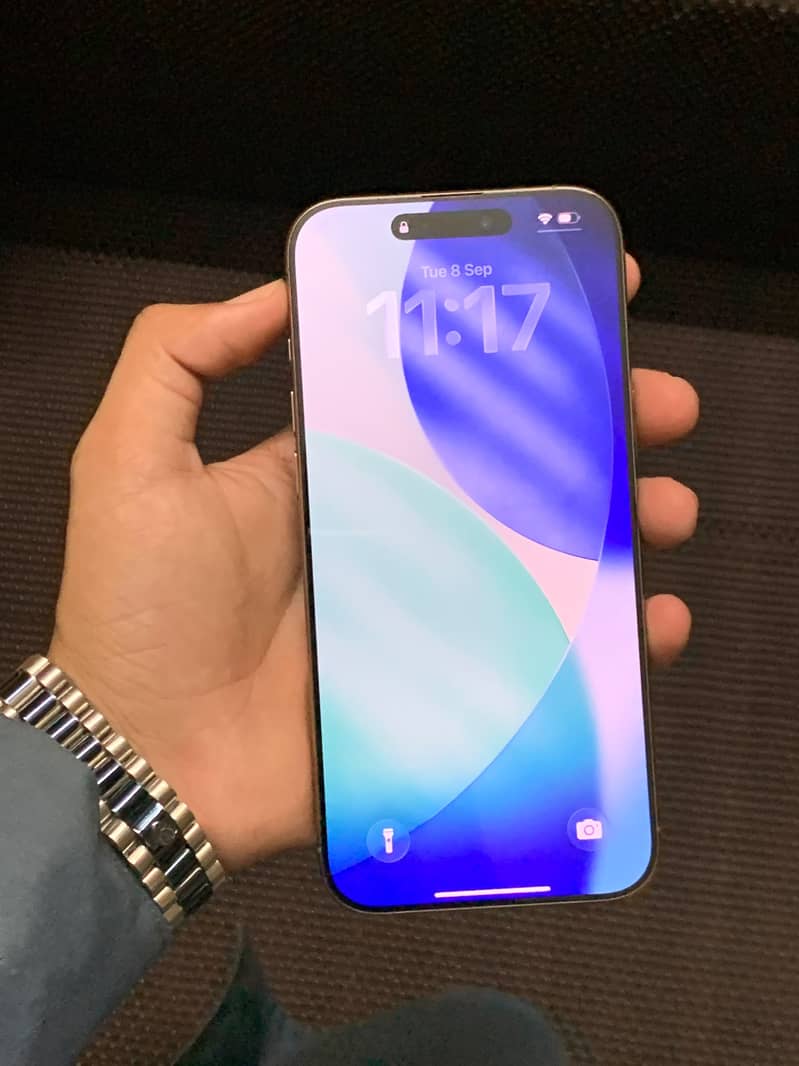 Apple iPhone 16 Pro Max 1