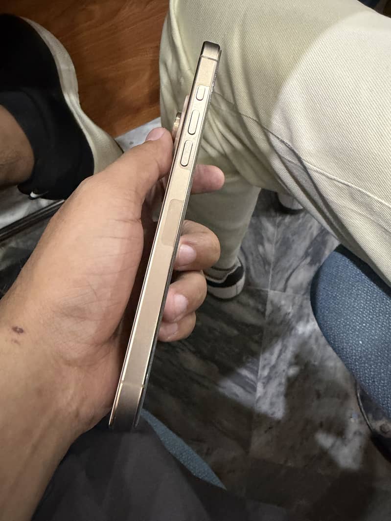 Apple iPhone 16 Pro Max 1