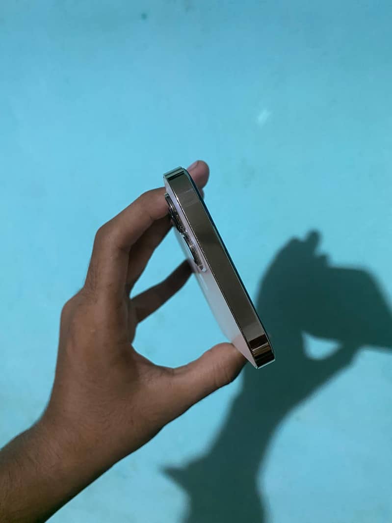 Apple iPhone 12 Pro Max 6