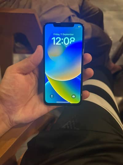 Apple iPhone X