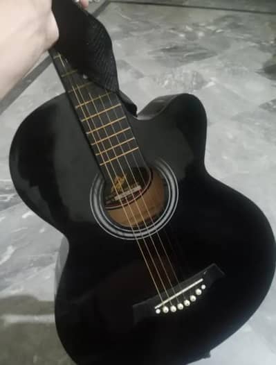 Acoustic guitar swift horse
