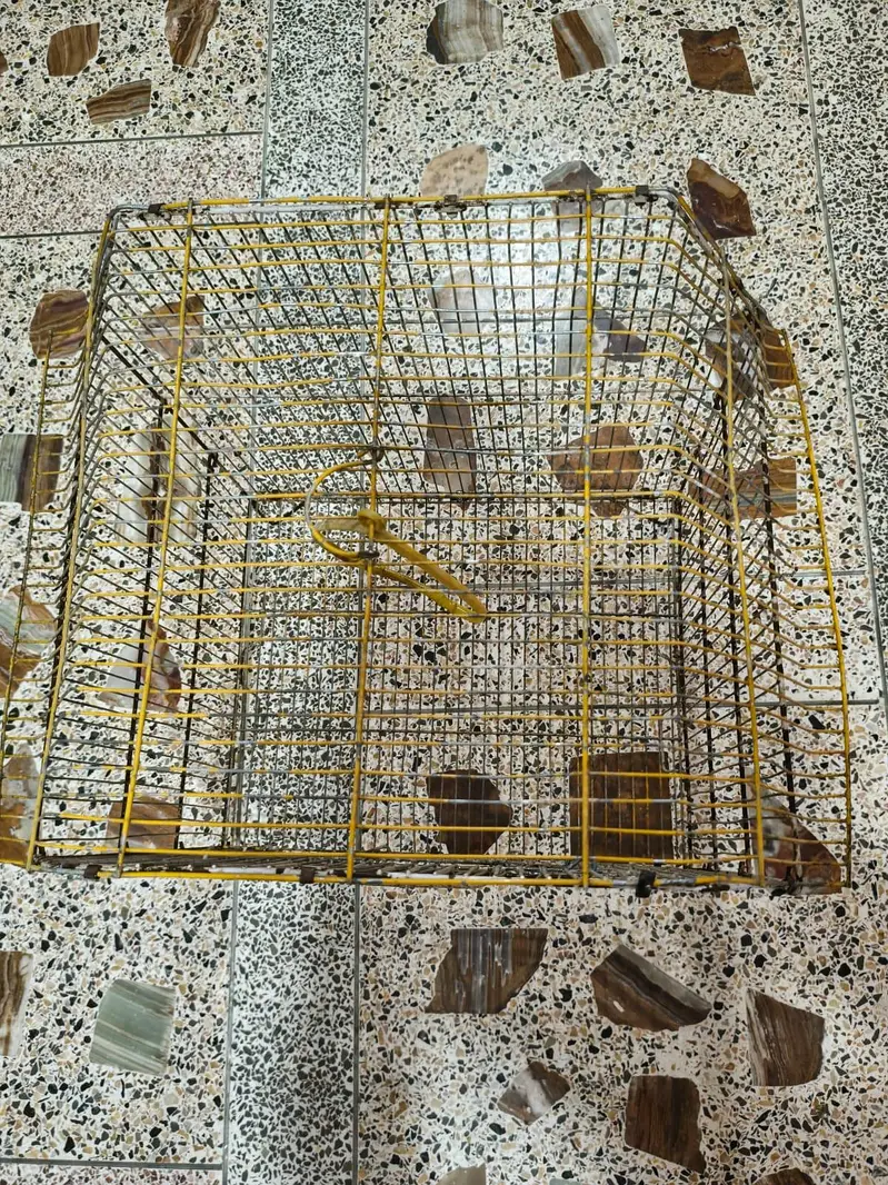 urgent sale — photo 2