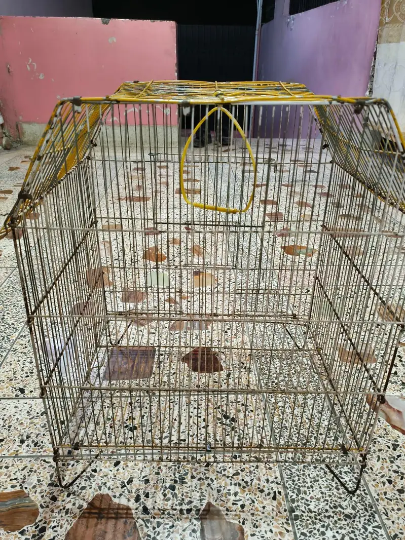 urgent sale — photo 3