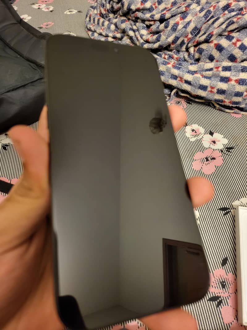 Apple iPhone 16 Pro Max 2