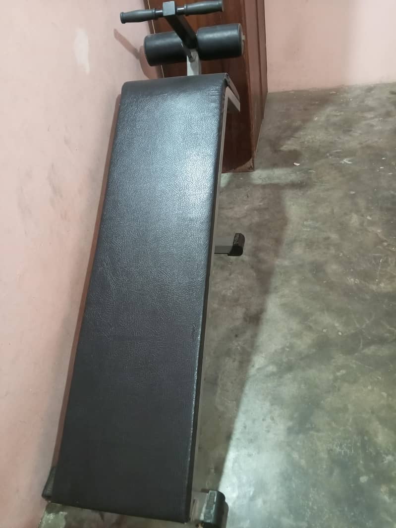 exercise bench 2