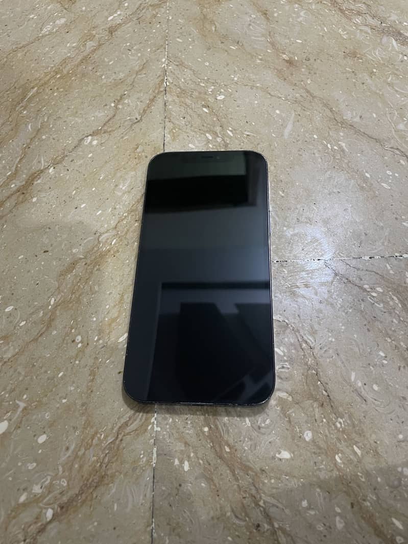 Apple iPhone 12 Pro Max 1