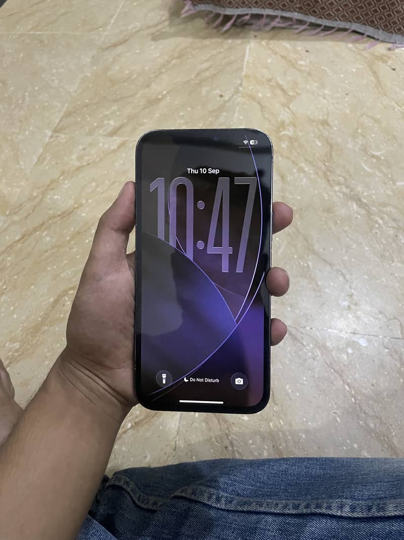 Apple iPhone 12 Pro Max 2
